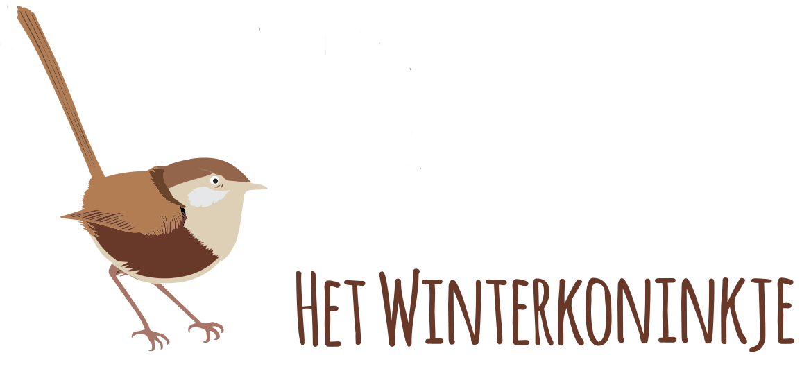 Het Winterkoninkje